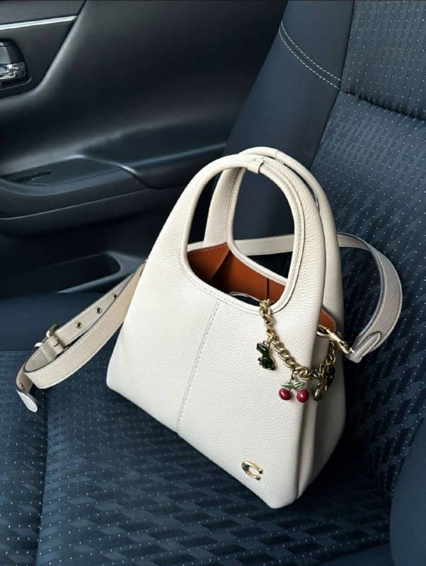 Enlace Hacoo Bolso Coach