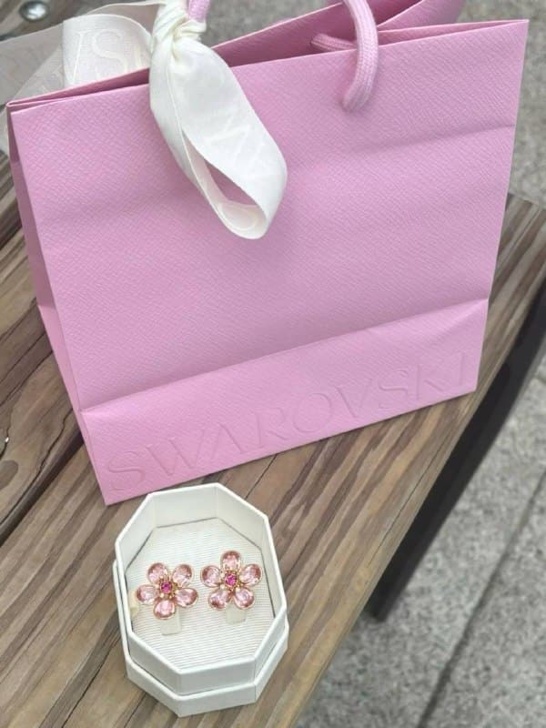 Enlaces Hacoo Lista de Accesorio Swarovski · foto 2