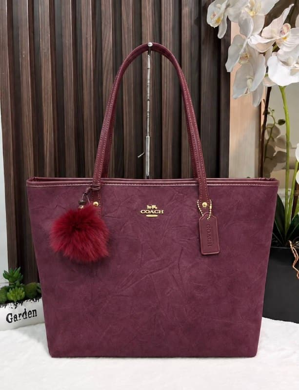 Enlace Hacoo Bolso Coach · foto 3