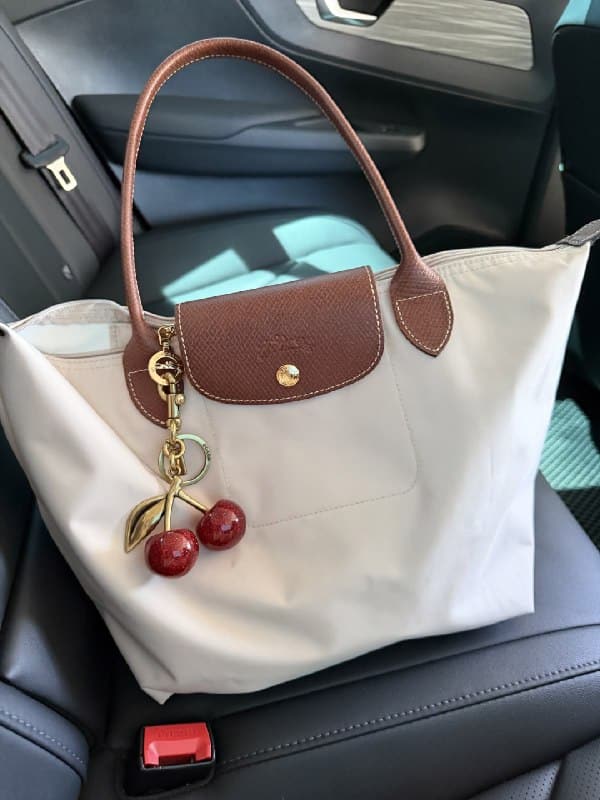 Enlace Hacoo Bolso Longchamp · foto 2