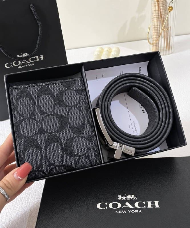 Enlace Hacoo Billetera Coach · foto 3