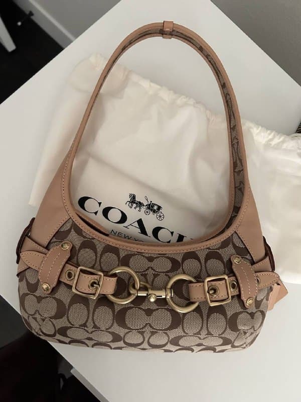 Enlace Hacoo Bolso Coach · foto 3