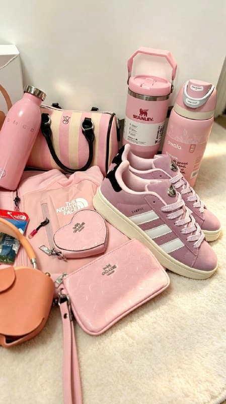 Enlace Hacoo The North Face Amanda haul · foto 3