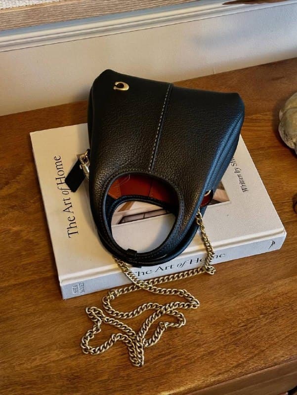 Enlace Hacoo Bolso Coach · foto 2