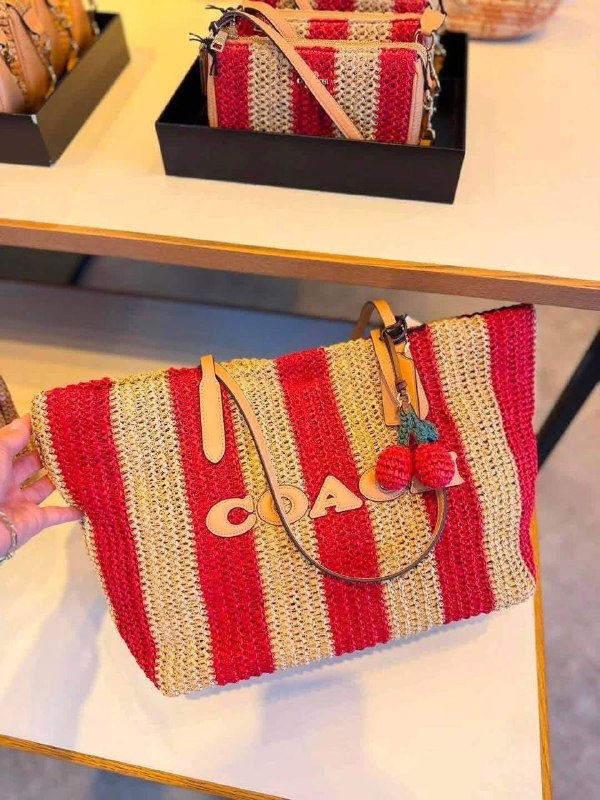 Link Hacoo Bolso Coach (2 sep 2026)