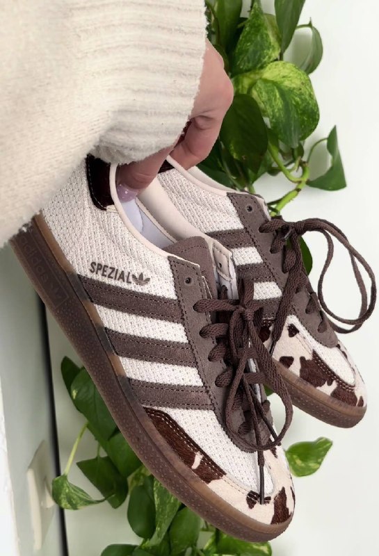 Enlace Hacoo Zapatillas Adidas Spezial
