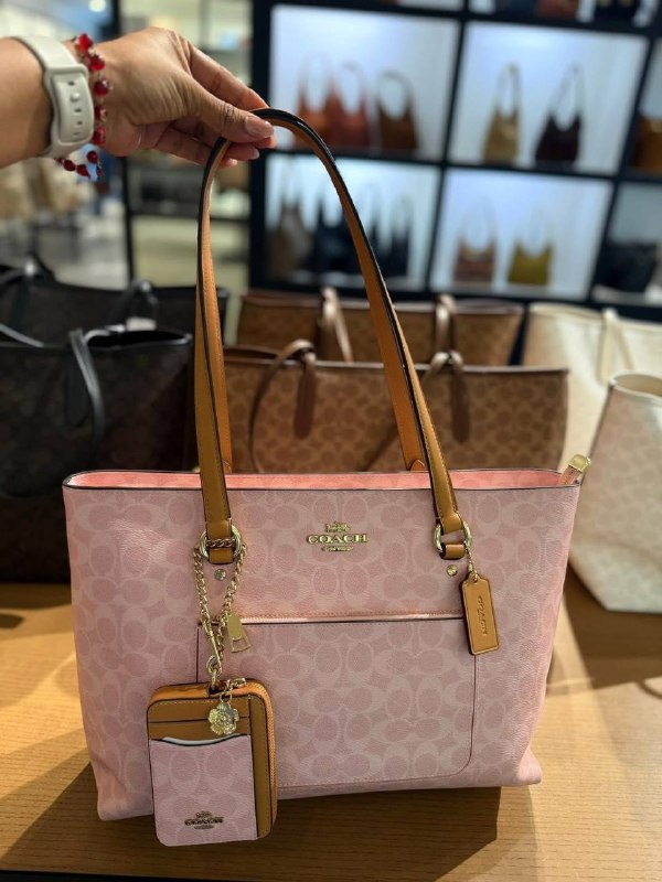 Enlace Hacoo Bolso Coach Grande · foto 3
