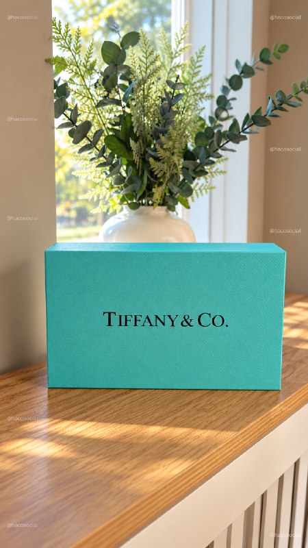 Enlace Hacoo Bolso Tiffany Co. · foto 2