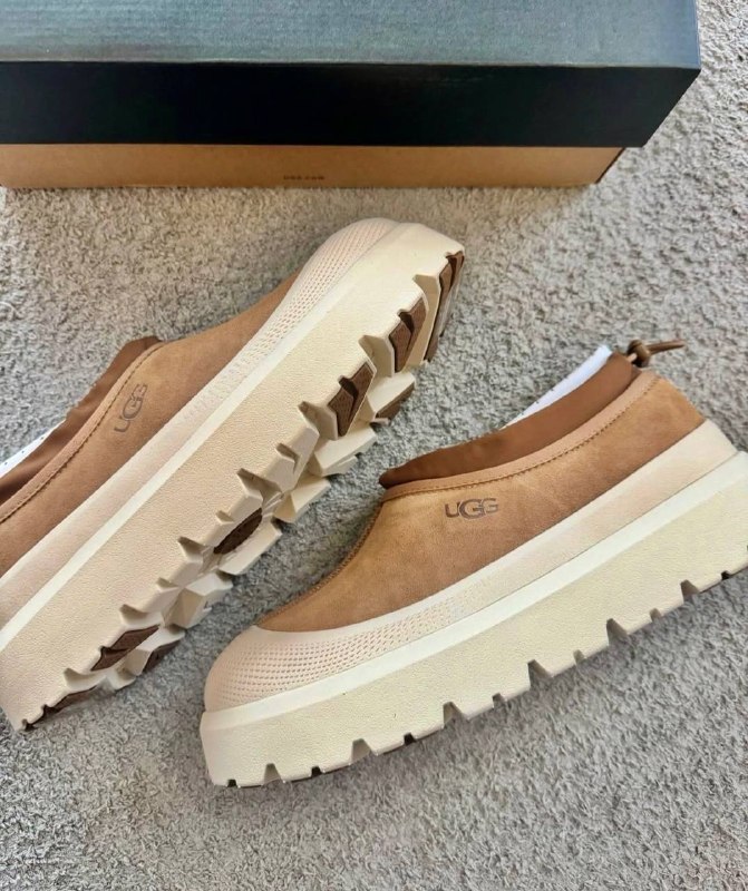 Enlace Hacoo Zapatillas Ugg Tasman
