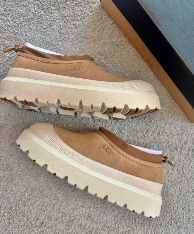 Enlace Hacoo Zapatillas Ugg Tasman · foto 3