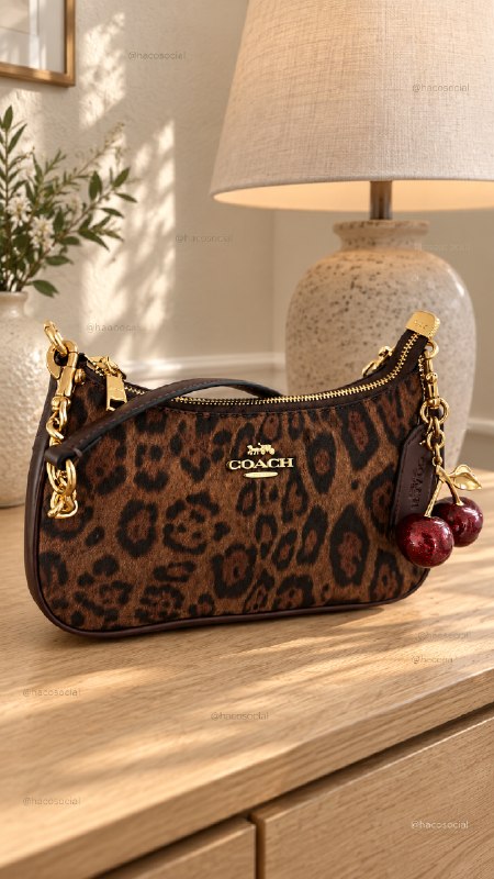 Link Hacoo Bolso Coach (5 oct 2026, 13:17)