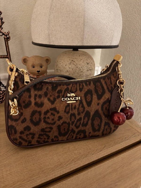 Link Hacoo Bolso Coach (5 oct 2026, 16:35)