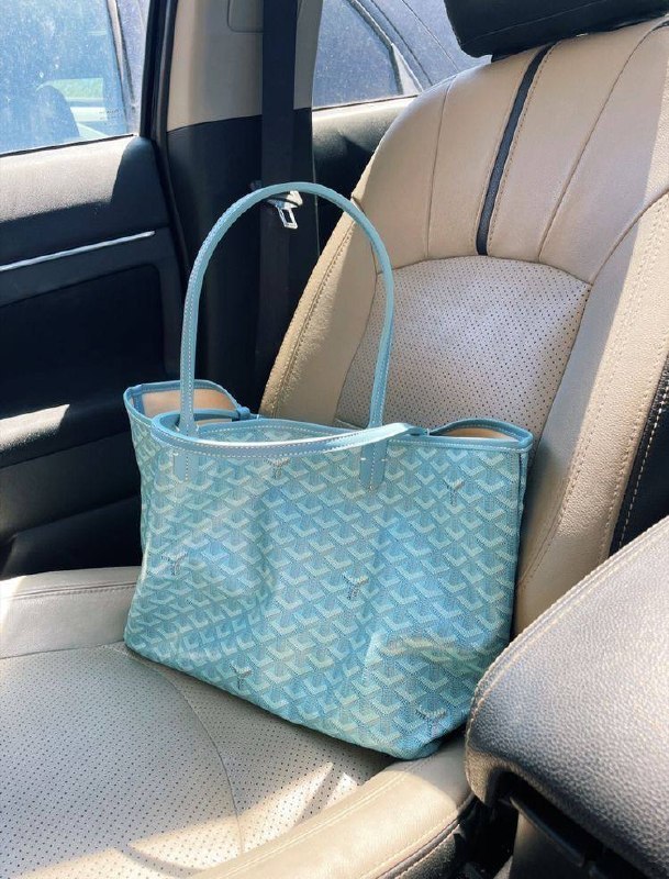 Link Hacoo Bolso Goyard · foto 2