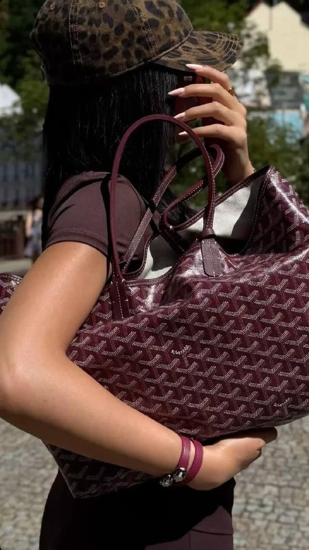 Link Hacoo Bolso Goyard · foto 5