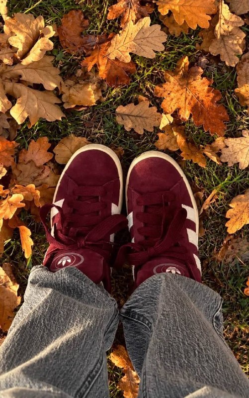 Link Hacoo Zapatillas Adidas Campus (10 oct 2026)