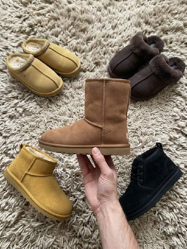 Link Hacoo Botas Ugg (12 oct 2026)