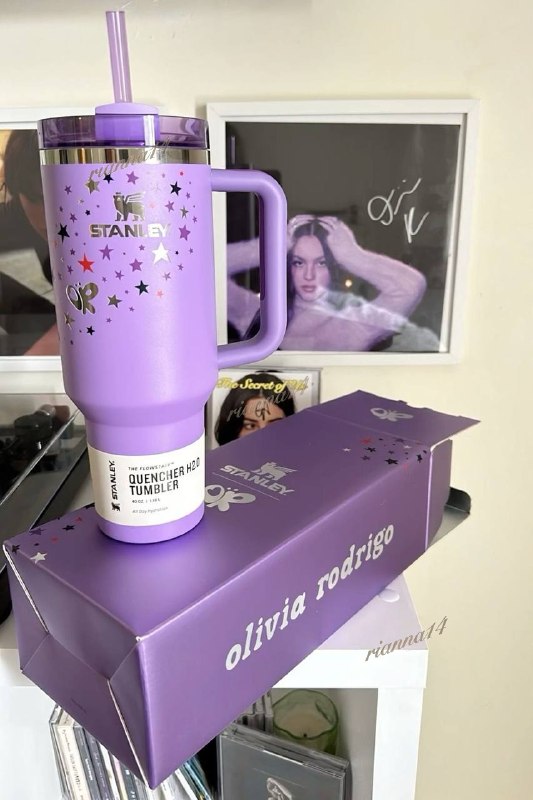 Link Hacoo Termo Stanley Quencher H2.0 Tumbler