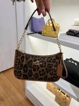Link Hacoo Bolso Coach Leopardo