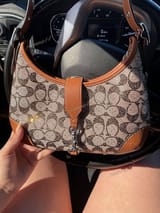 Link Hacoo Bolso Coach Crystal Signature Jacquard