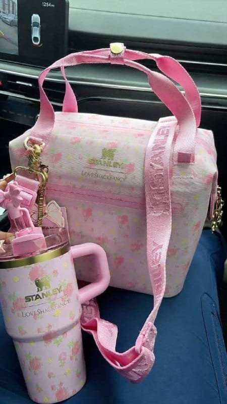 Link Hacoo Bolso Stanley