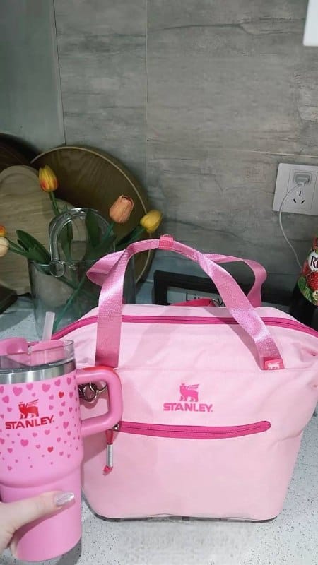 Link Hacoo Bolso Stanley Lunch