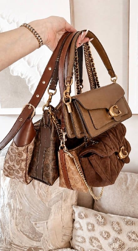 Links Hacoo Lista de bolsos Coach