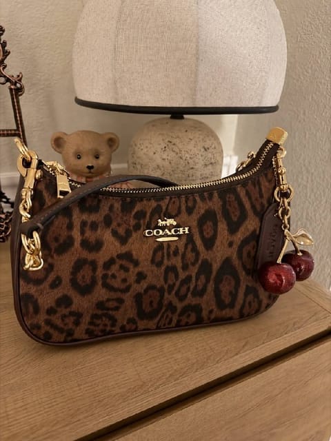 Link Hacoo Bolso Coach (5 oct 2026, 16:35)