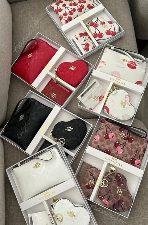 Link Hacoo Bolso Coach (7 oct 2026)