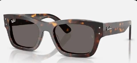 Link Hacoo Gafas Ray-Ban Rayban (15 oct 2026)
