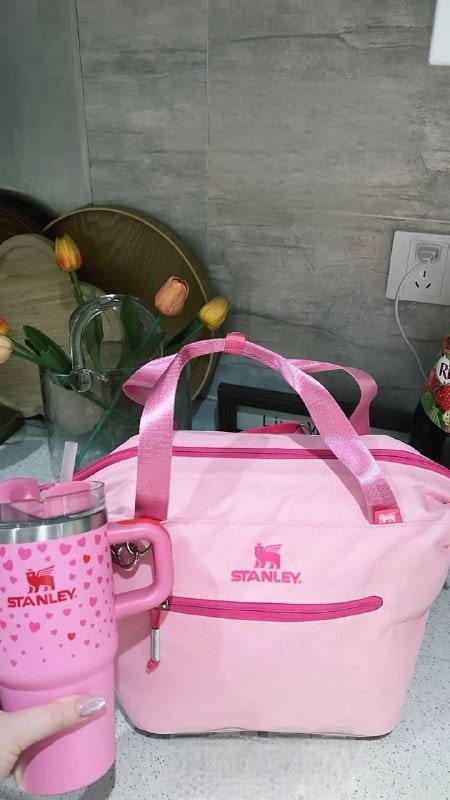 Enlace Hacoo Bolso Stanley Lunch