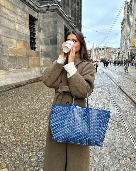 Enlace Hacoo Bolso Goyard Grande