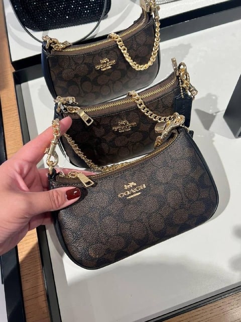 Enlace Hacoo Bolso Coach Teri