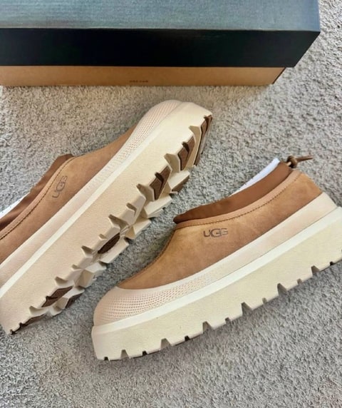 Enlace Hacoo Zapatillas Ugg Tasman