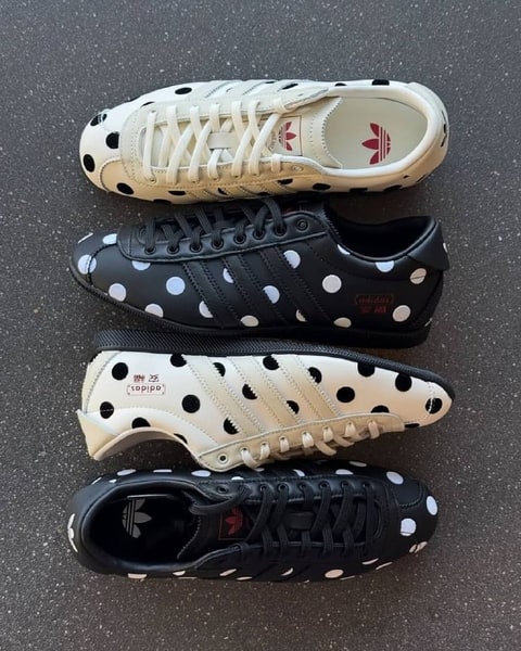 Enlace Hacoo Zapatillas Adidas Superstar