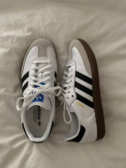 Enlace Hacoo Zapatillas Adidas Samba