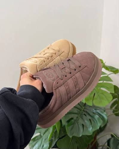 Enlace Hacoo Zapatillas Adidas Campus 00s