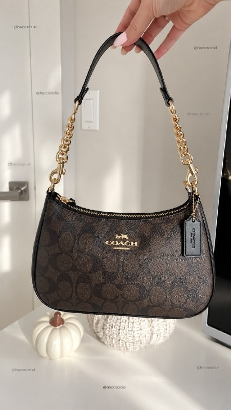 Enlace Hacoo Bolso Coach teri